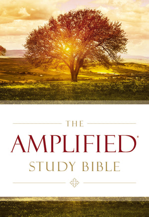 Open image in slideshow, Amplified Bible
