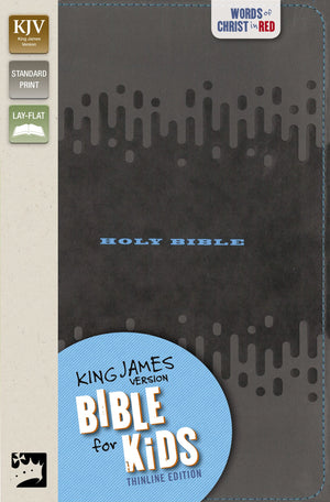 Open image in slideshow, KJV Bible for Kids
